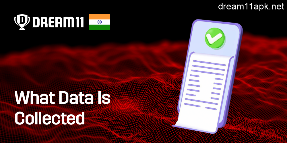 What Data Is Collected in Dream11 India