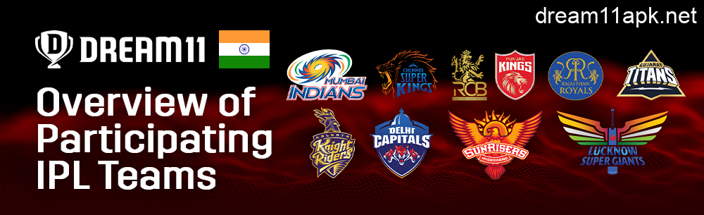 Dream11 overview of teams in the IPL tournament