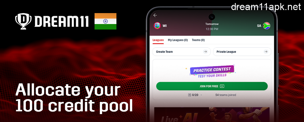 Distribute a pool of 100 credits in the Dream11 app for an IPL match